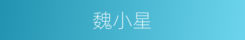 魏小星的同义词