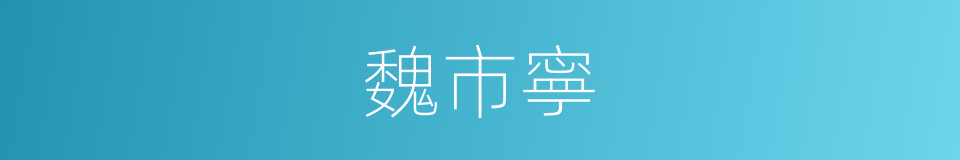 魏市寧的同義詞