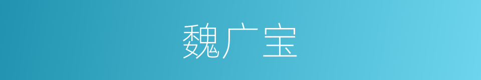 魏广宝的同义词