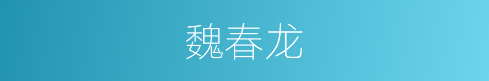 魏春龙的同义词