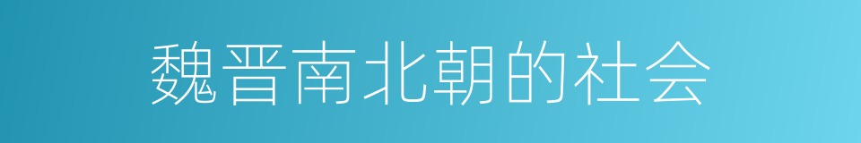 魏晋南北朝的社会的同义词