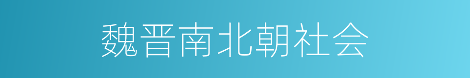 魏晋南北朝社会的同义词