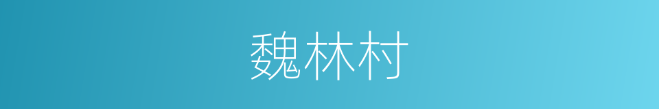 魏林村的同义词