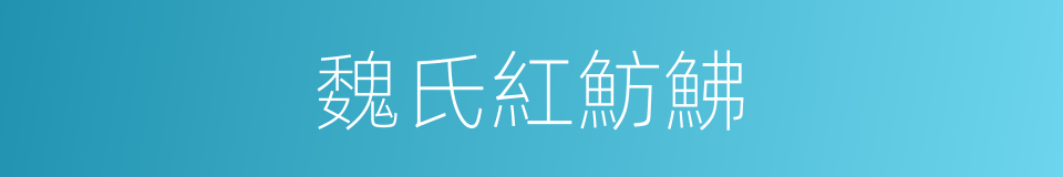 魏氏紅魴鮄的同義詞