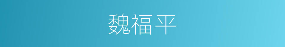 魏福平的同义词