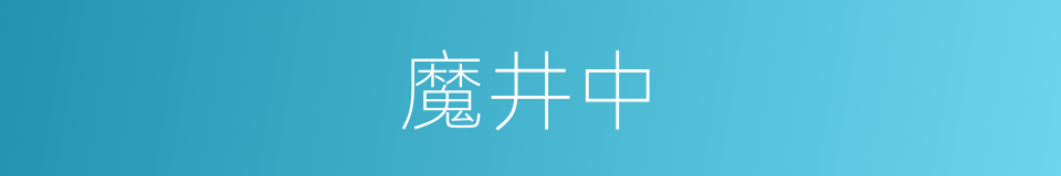 魔井中的同义词