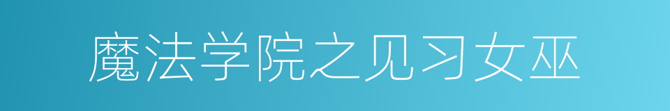 魔法学院之见习女巫的同义词