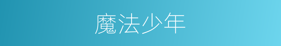 魔法少年的同义词