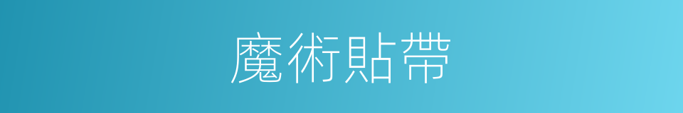 魔術貼帶的同義詞