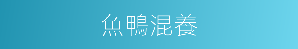 魚鴨混養的同義詞