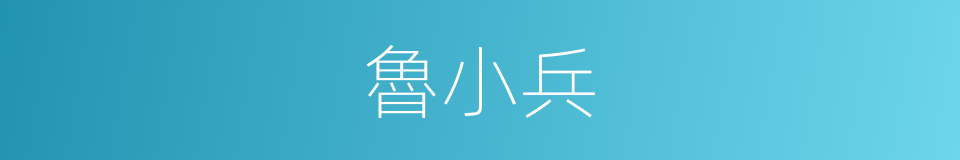 魯小兵的同義詞