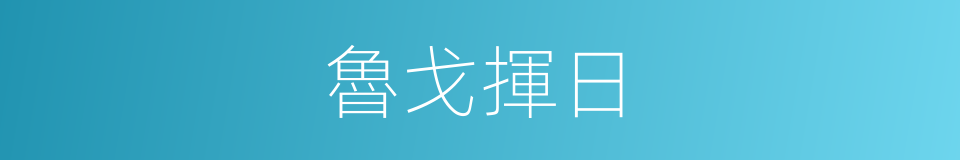 魯戈揮日的同義詞