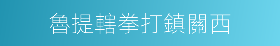 魯提轄拳打鎮關西的同義詞