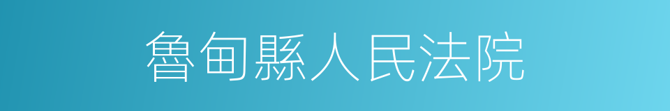 魯甸縣人民法院的同義詞