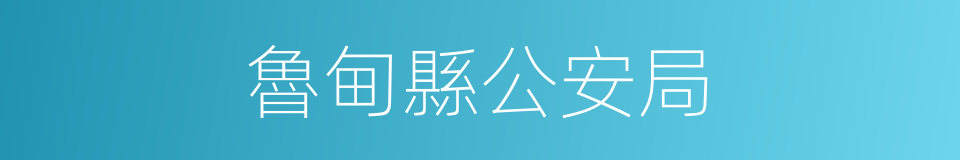 魯甸縣公安局的同義詞