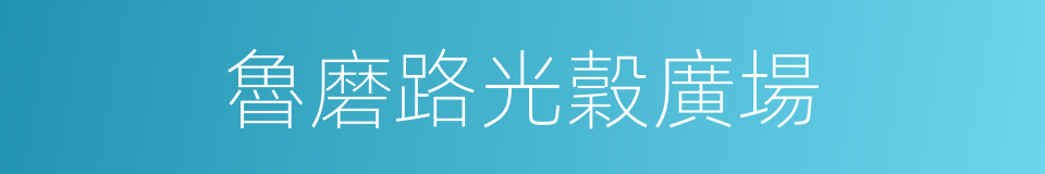 魯磨路光穀廣場的同義詞