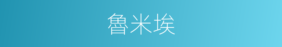 魯米埃的同義詞