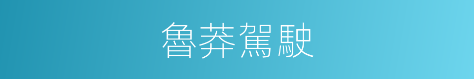 魯莽駕駛的同義詞