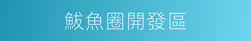 鮁魚圈開發區的同義詞