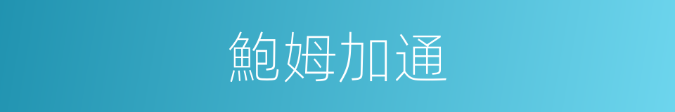 鮑姆加通的同義詞