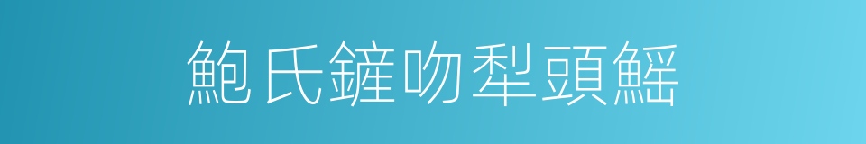 鮑氏鏟吻犁頭鰩的同義詞