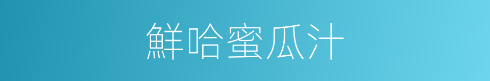 鮮哈蜜瓜汁的同義詞