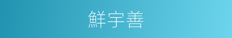 鮮宇善的同義詞