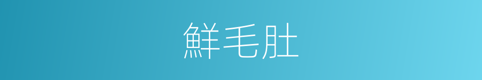 鮮毛肚的同義詞