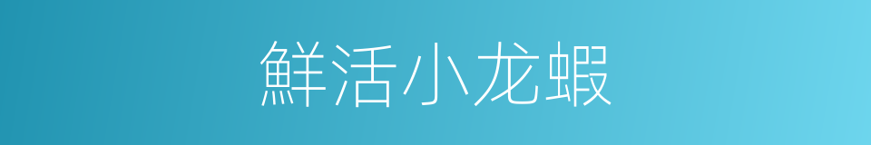 鮮活小龙蝦的同義詞