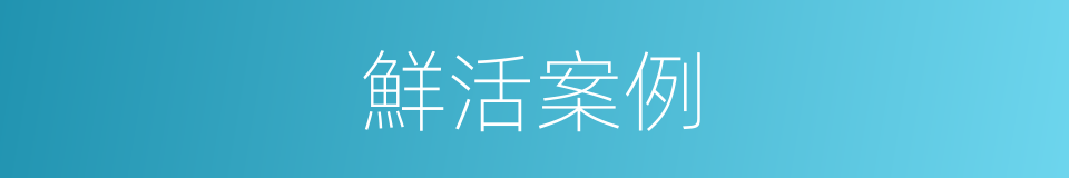 鮮活案例的同義詞