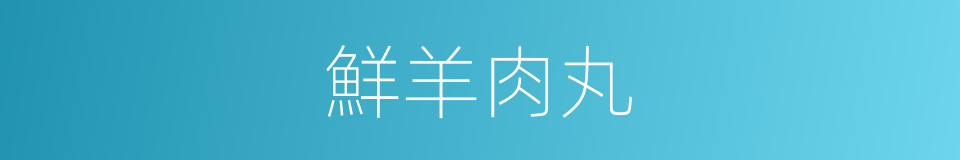 鮮羊肉丸的同義詞