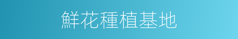 鮮花種植基地的同義詞