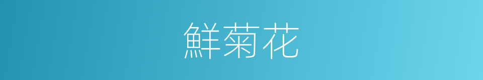 鮮菊花的同義詞