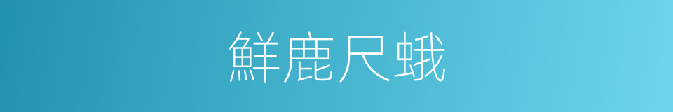 鮮鹿尺蛾的同義詞