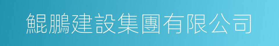鯤鵬建設集團有限公司的同義詞
