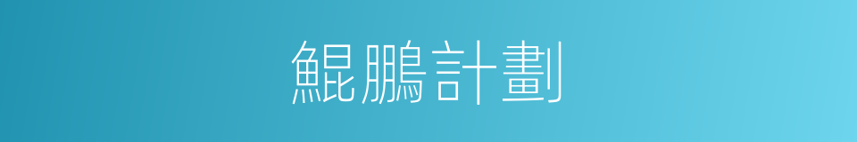 鯤鵬計劃的同義詞
