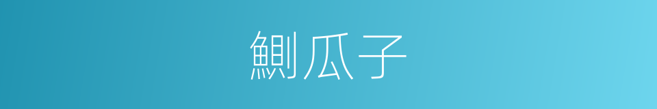 鰂瓜子的意思