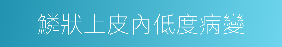 鱗狀上皮內低度病變的同義詞