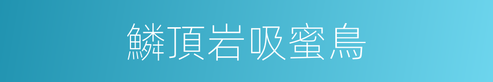 鱗頂岩吸蜜鳥的同義詞