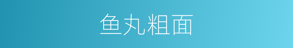 鱼丸粗面的同义词
