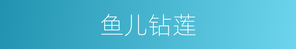 鱼儿钻莲的同义词