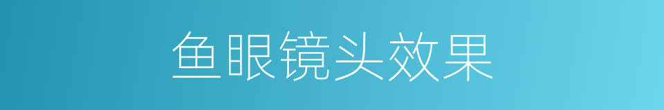 鱼眼镜头效果的同义词