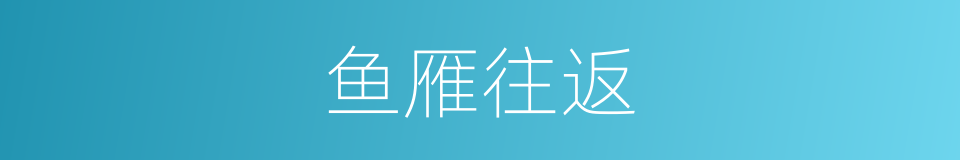 鱼雁往返的同义词