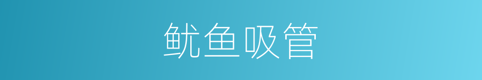 鱿鱼吸管的意思