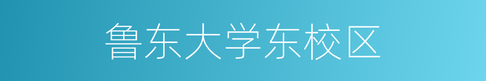 鲁东大学东校区的同义词