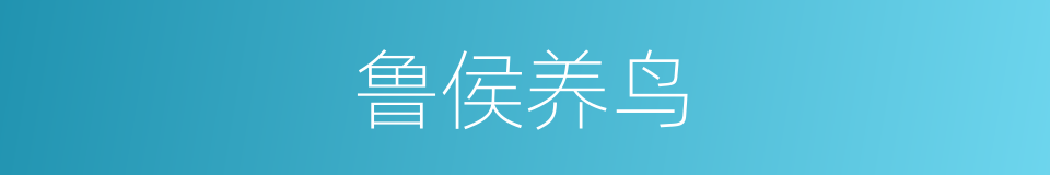 鲁侯养鸟的同义词