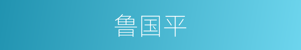 鲁国平的同义词