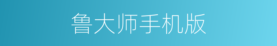 鲁大师手机版的同义词