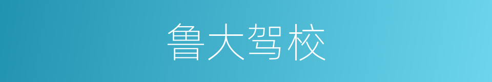 鲁大驾校的同义词