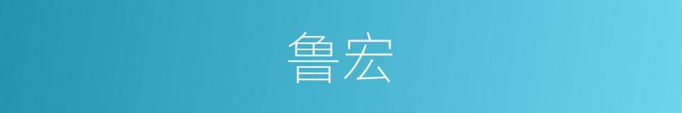 鲁宏的同义词